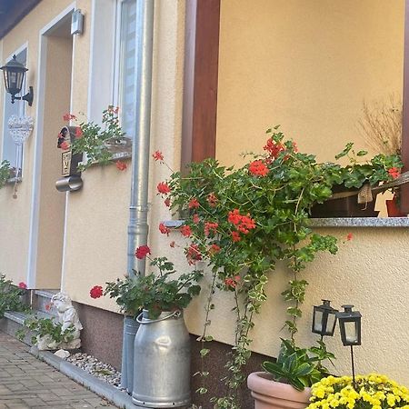 Ferienwohnung „Thea“ Bad Lausick Dış mekan fotoğraf