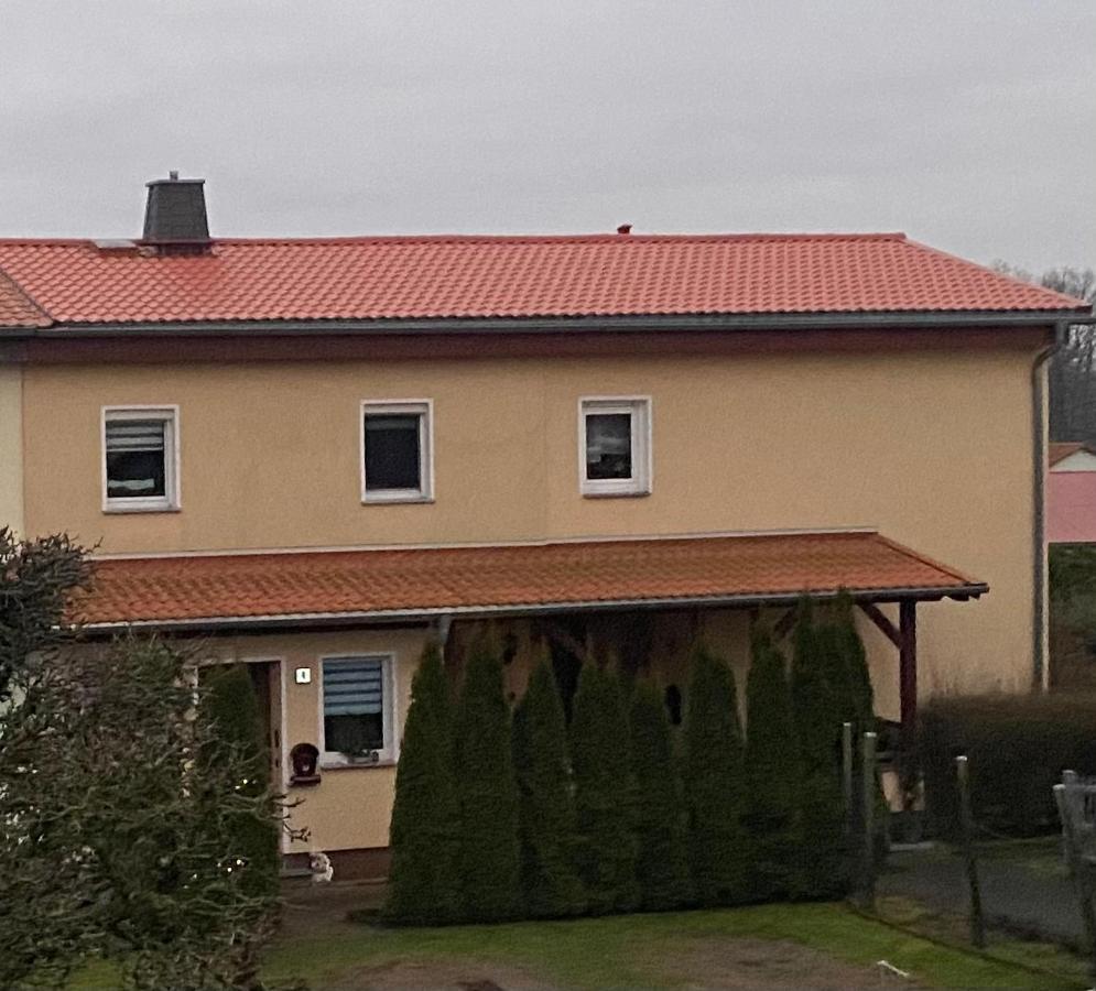 Ferienwohnung „Thea“ Bad Lausick Dış mekan fotoğraf