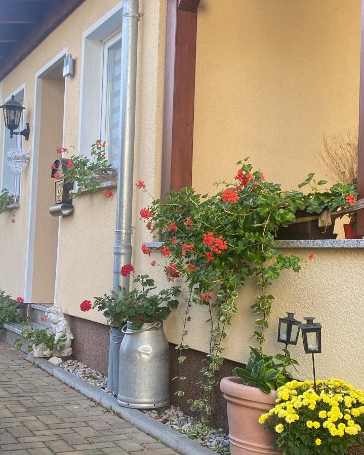 Ferienwohnung „Thea“ Bad Lausick Dış mekan fotoğraf